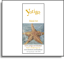 Download Information, Flyer and Pricing